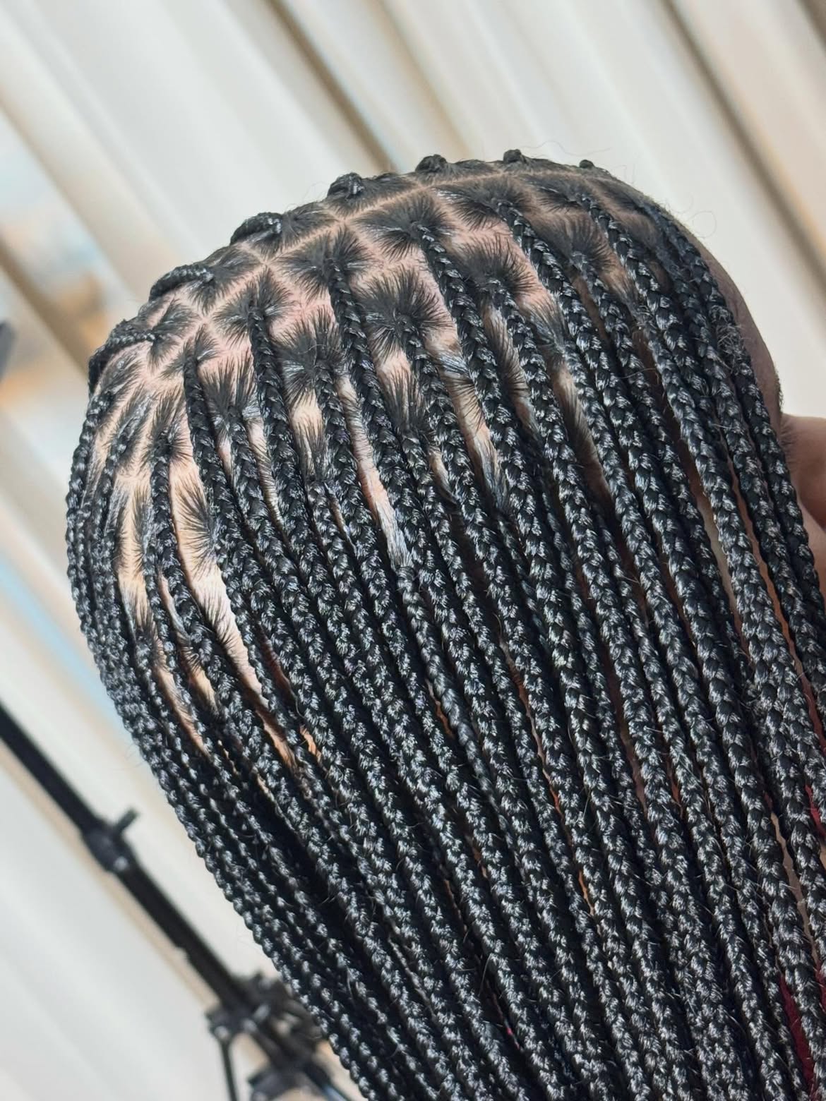 Neat Square Part Knotless Braids