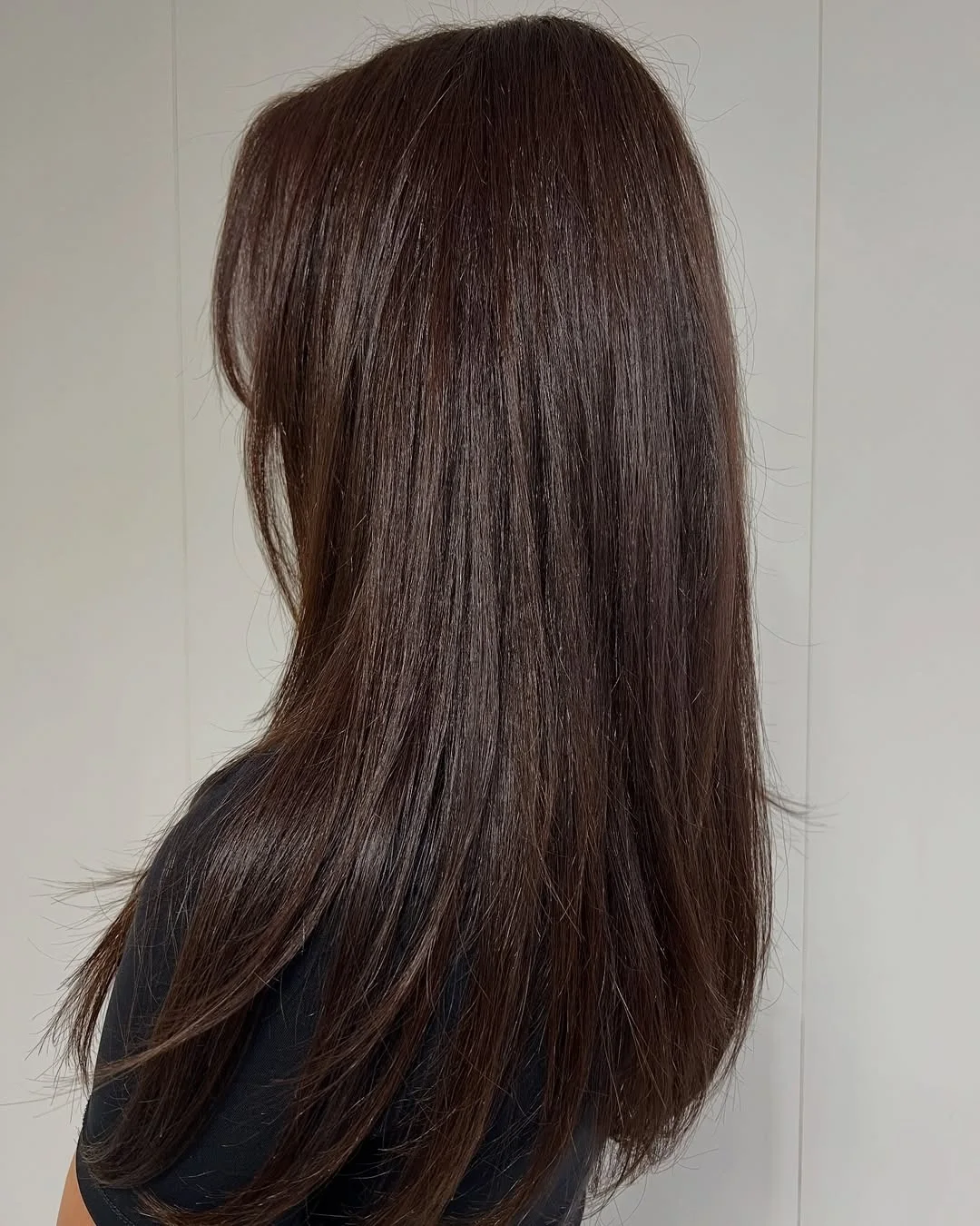 Rich Chocolate Brown Hair With Subtle Layers