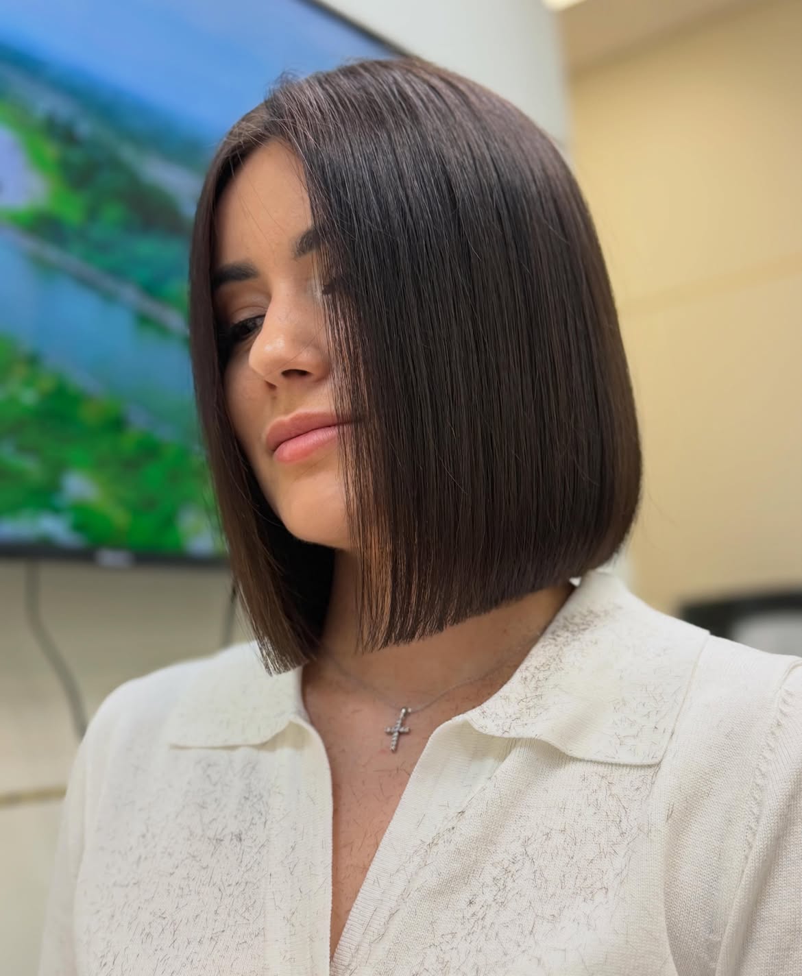 Sleek Blunt Chin Length Espresso Bob