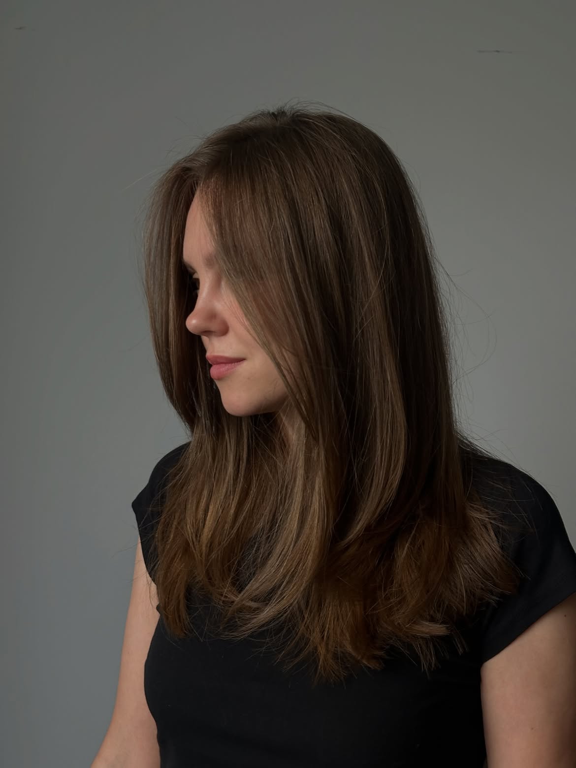 Soft Layers With Face-Framing Brunette Cut