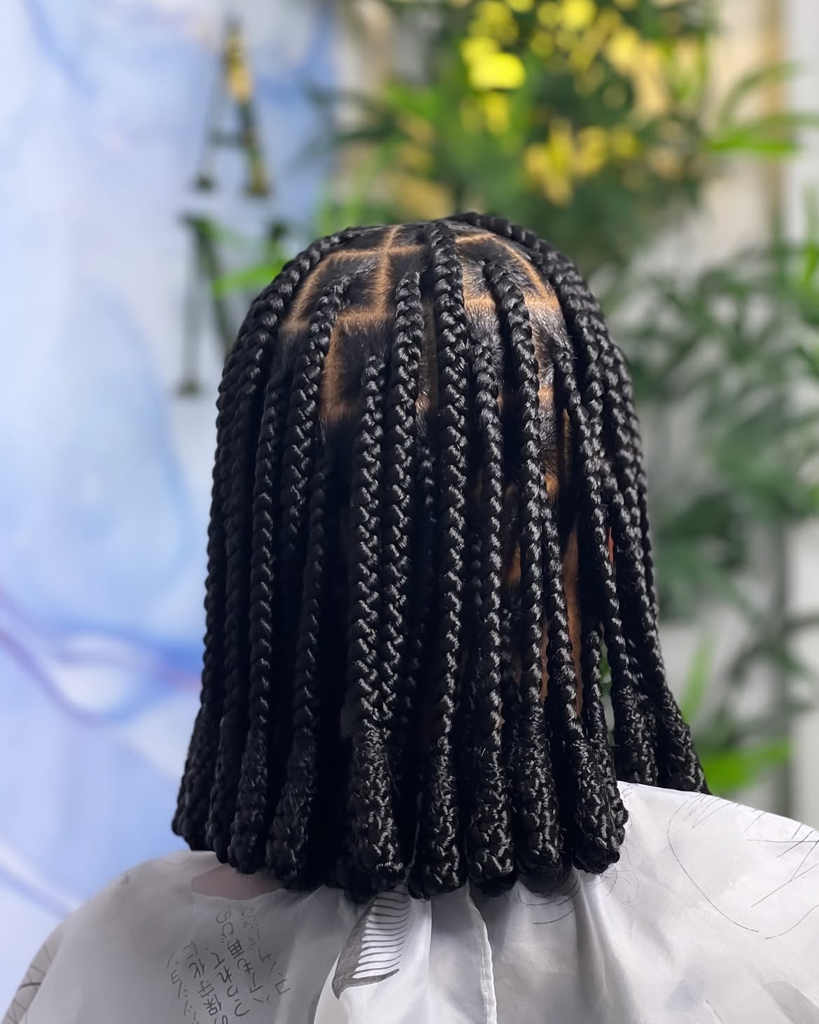 Chic Bob Box Braids With Crisp Parts